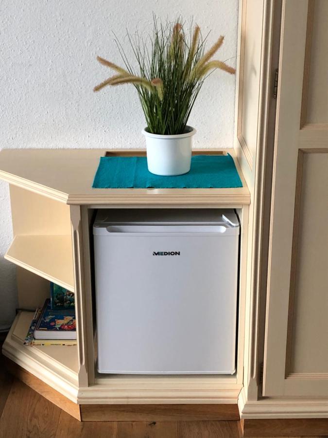 Apartment Goisernperle 巴德哥依斯恩 外观 照片